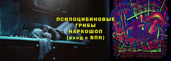 спиды Дмитриев