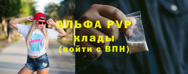 спиды Дмитриев