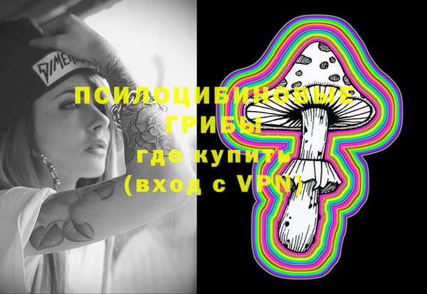 Альфа ПВП Дмитровск
