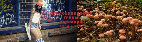 Альфа ПВП Дмитровск