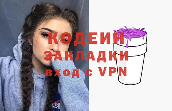 спиды Дмитриев