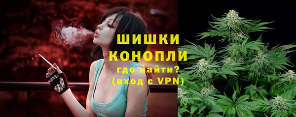 дмт Фёдоровский