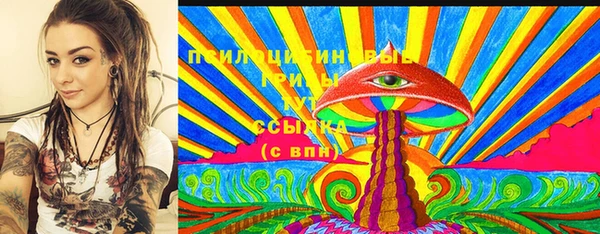 спиды Дмитриев