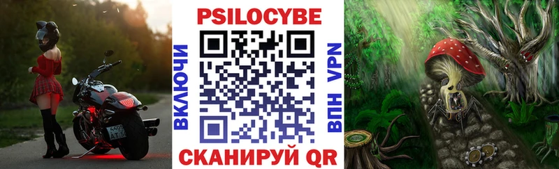 Псилоцибиновые грибы Cubensis  Купить  Еманжелинск 