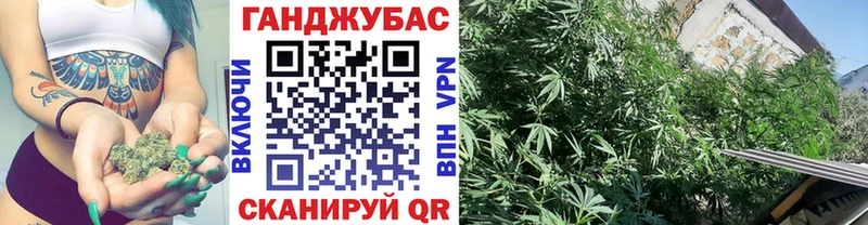 Купить закладки  Еманжелинск  Шишки марихуана Amnesia 